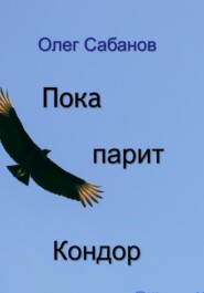 бесплатно читать книгу Пока парит кондор автора Олег Сабанов