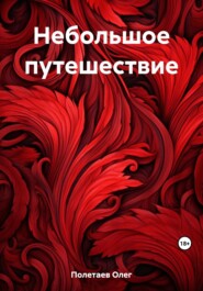 бесплатно читать книгу Небольшое путешествие автора Олег Полетаев