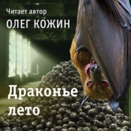 бесплатно читать книгу Драконье лето автора Олег Кожин