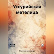 бесплатно читать книгу Уссурийская метелица автора Александр Миронов