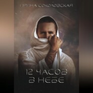 бесплатно читать книгу 12 часов в небе автора Ирина Соколовская