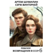 бесплатно читать книгу Ревизор: возвращение в СССР 6 автора Артем Шумилин