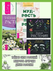 бесплатно читать книгу Дикие растения: Руководство для ведьмы: Обычные травы для необычной магии. Мудрость природы: Духовные и практические наставления от растений, животных и Матери-земли. Тайные силы растений автора Джей Уокер