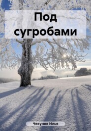 бесплатно читать книгу Под сугробами автора Илья Чекунов