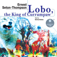 бесплатно читать книгу Lobo, the King of Currumpaw. Stories автора Эрнест Сетон-Томпсон
