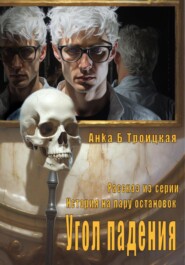 бесплатно читать книгу Угол падения автора Анkа Троицкая