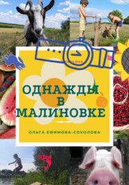 бесплатно читать книгу Однажды в Малиновке автора Ольга Ефимова-Соколова