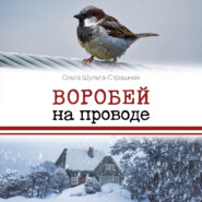 бесплатно читать книгу Воробей на проводе автора Ольга Шульга-Страшная