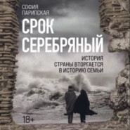 бесплатно читать книгу Срок серебряный автора София Парипская