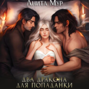 бесплатно читать книгу Два дракона для попаданки автора Анита Мур