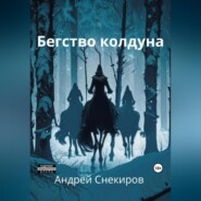 бесплатно читать книгу Бегство колдуна автора Андрей Снекиров