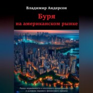 бесплатно читать книгу Буря на американском рынке автора Владимир Андерсон