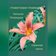 бесплатно читать книгу Графитовая графиня автора Наталья Патрацкая