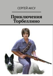 бесплатно читать книгу Приключения Торбеллино автора Сергей Аксу