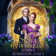бесплатно читать книгу Охота на принцессу автора Елизавета Соболянская