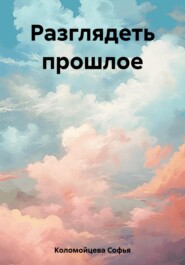 бесплатно читать книгу Разглядеть прошлое автора Софья Коломойцева