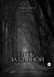 бесплатно читать книгу Тень за спиной автора Илья Синило