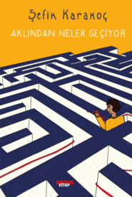 бесплатно читать книгу Aklından Neler Geçiyor автора Karakoç Şefik