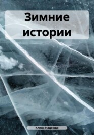 бесплатно читать книгу Зимние истории автора Надежда Клинк