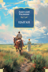 бесплатно читать книгу Цыган автора Анатолий Калинин