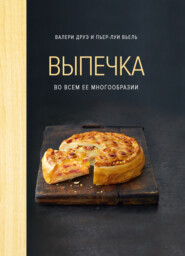 бесплатно читать книгу Домашняя выпечка: пироги, киши, тарты и тарталетки автора Пьер-Луи Вьель
