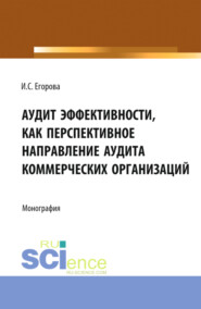 бесплатно читать книгу Аудит эффективности, как перспективное направление аудита коммерческих организаций. (Магистратура). Монография. автора Ирина Егорова