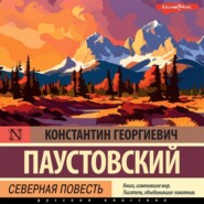 бесплатно читать книгу Северная повесть автора Константин Паустовский
