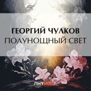 бесплатно читать книгу Полунощный свет автора Георгий Чулков