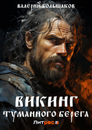 бесплатно читать книгу Викинг туманного берега автора Валерий Большаков