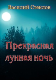 бесплатно читать книгу Прекрасная лунная ночь автора Василий Стеклов