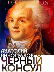 бесплатно читать книгу Черный консул автора Анатолий Виноградов