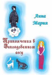 бесплатно читать книгу Приключения в Заколдованном лесу автора  Анна Мария