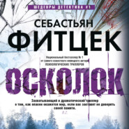 бесплатно читать книгу Осколок автора Себастьян Фитцек