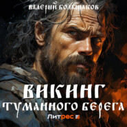 бесплатно читать книгу Викинг туманного берега автора Валерий Большаков