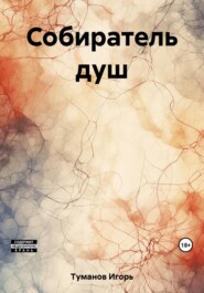 бесплатно читать книгу Собиратель душ автора Игорь Туманов