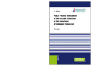 бесплатно читать книгу Public Finance Management in the Russian Federation in the Conditions of Economic Turbulence. (Бакалавриат, Магистратура). Монография. автора Игорь Балынин