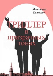 бесплатно читать книгу Триллер в призрачных тонах автора Владимир Колганов