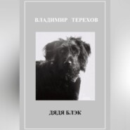 бесплатно читать книгу Дядя Блэк автора Владимир Терехов