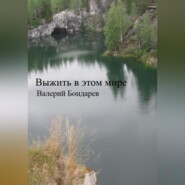 бесплатно читать книгу Выжить в этом мире автора Валерий Бондарев