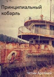 бесплатно читать книгу Принципиальный корабль автора Арсений Четин