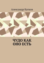 бесплатно читать книгу Чудо как оно есть автора Александр Катков