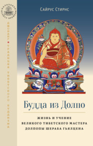 бесплатно читать книгу Будда из Долпо. Жизнь и учение великого тибетского мастера Долпопы Шераба Гьялцена автора Сайрус Стирнс