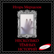 бесплатно читать книгу Несколько тёмных историй (аудиоверсия) автора Игорь Мерцалов