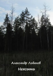 бесплатно читать книгу Неясыть автора Александр Лобанов