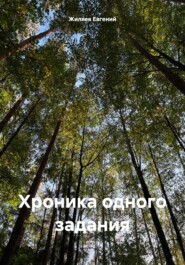 бесплатно читать книгу Хроника одного задания автора Евгений Жиляев