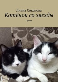 бесплатно читать книгу Котёнок со звезды. Орешек автора Лиана Соколова