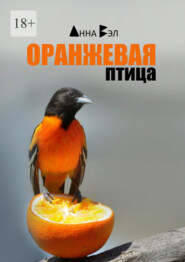 бесплатно читать книгу Оранжевая птица. Рассказы автора Анна Вэл