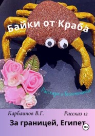 бесплатно читать книгу Байки от Краба 12. За границей, Египет автора Карбаинов Валерий