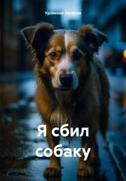 бесплатно читать книгу Я сбил собаку автора Наталия Урликова