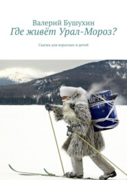 бесплатно читать книгу Где живёт Урал-Мороз? Сказка для взрослых и детей автора Валерий Бушухин